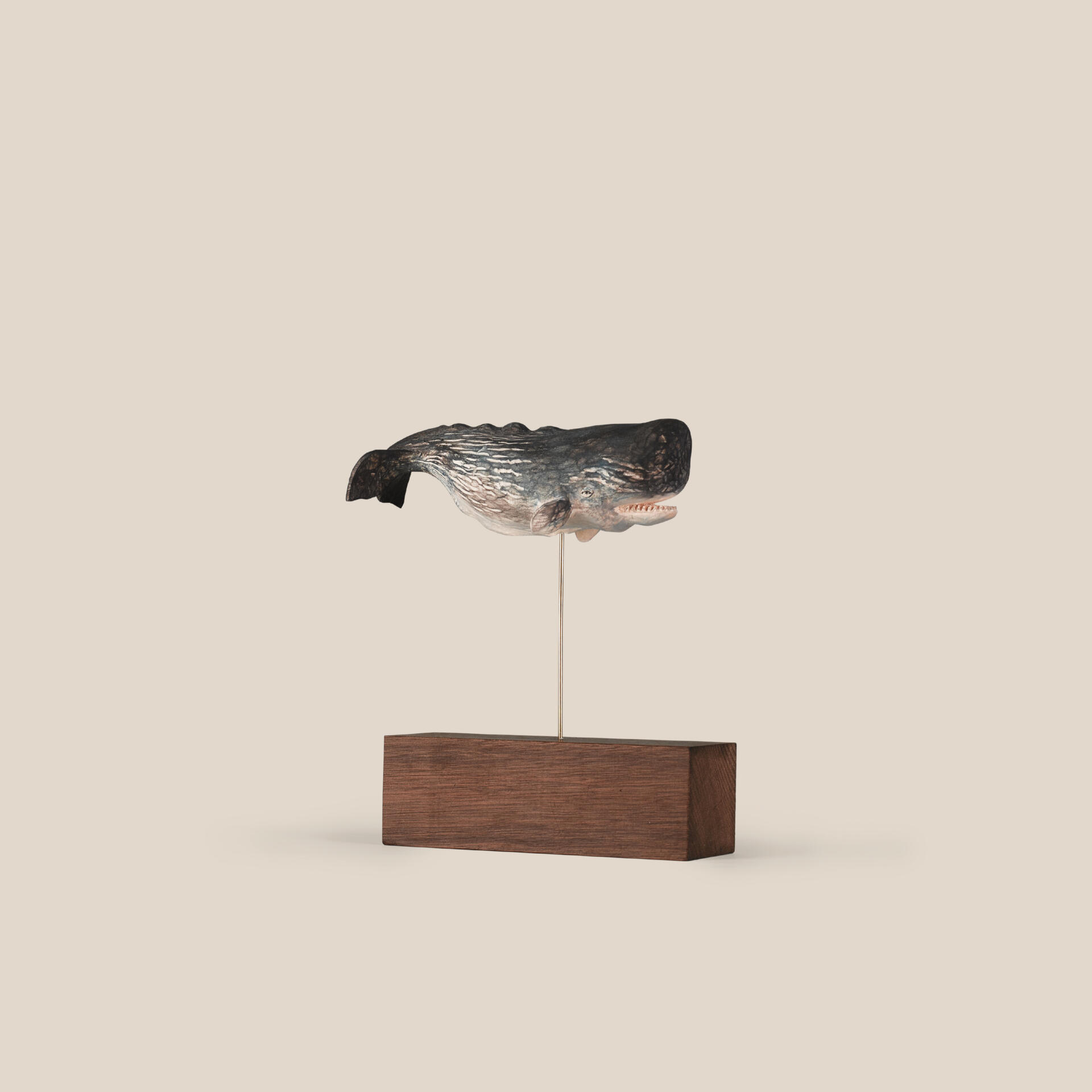 Wooden Sperm Whale Hand Carved Wooden Sperm Whale